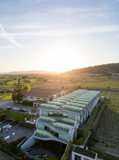 A Day of Luxury: 5-Star Hotel/Vineyard Tour with La Cava Cakery