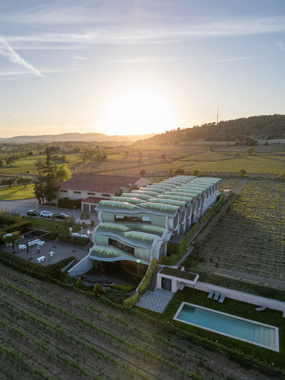 Un Día de Lujo: Tour por un Hotel/Viñedo 5 con La Cava Cakery