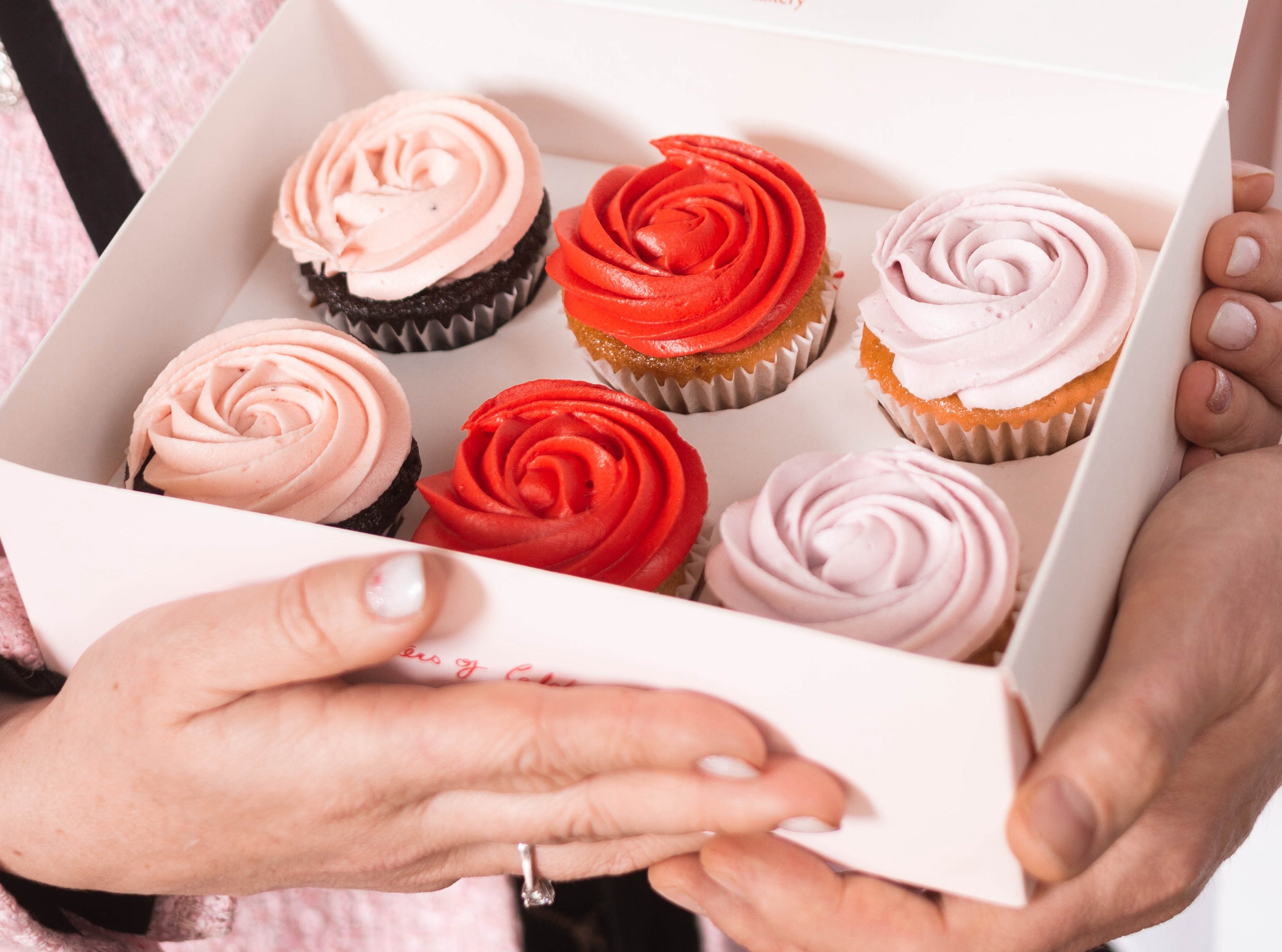  Cupcake Box Les més venudes 12